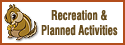 Recreation & Planned Activities